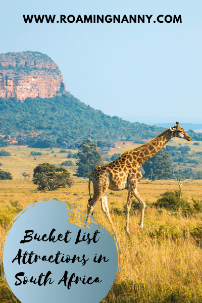 A trip to South Africa is a great introduction to the jewels of the African continent. This post has some great things to add to a South Africa bucket list.