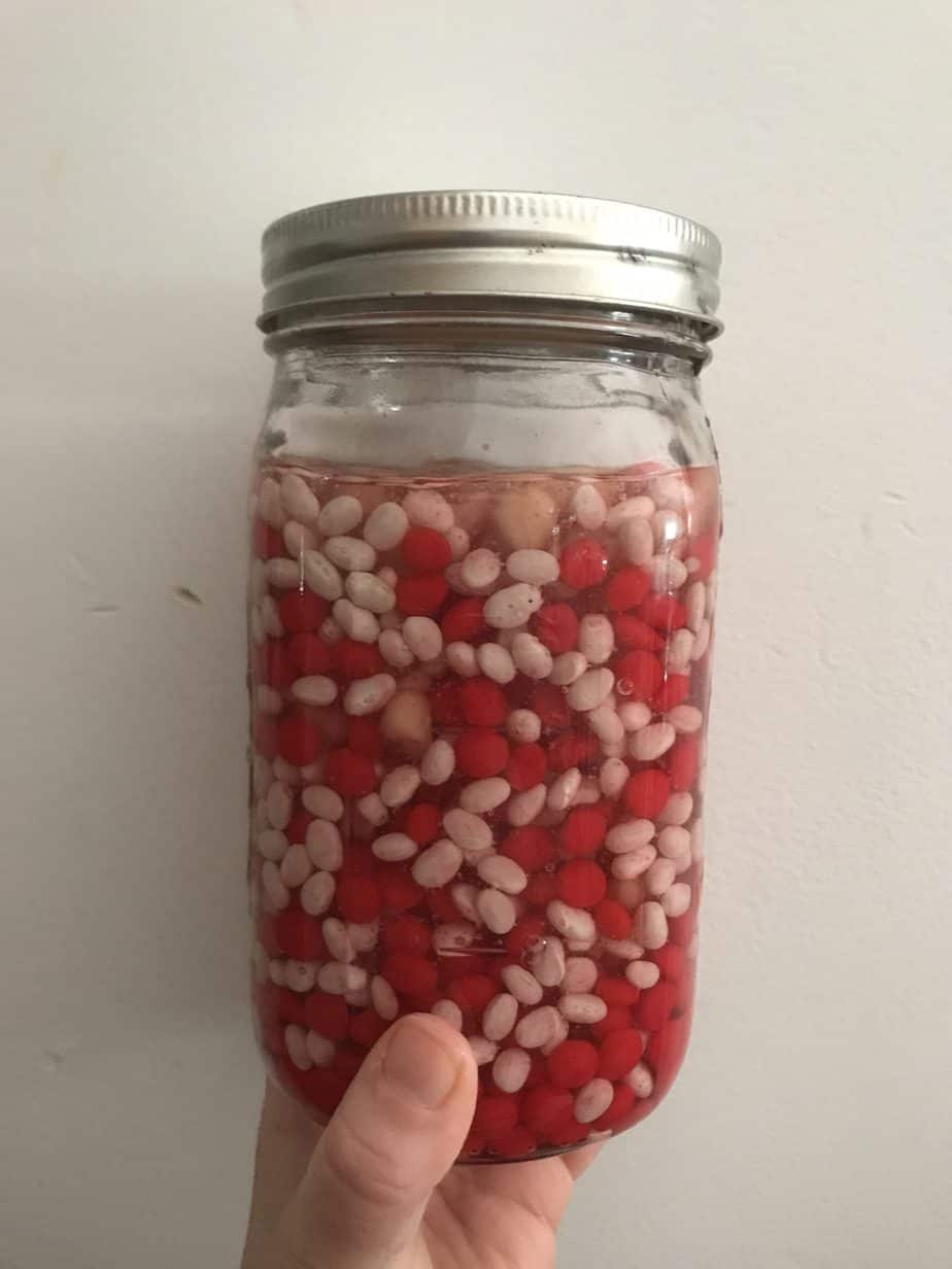 blood model in a jar