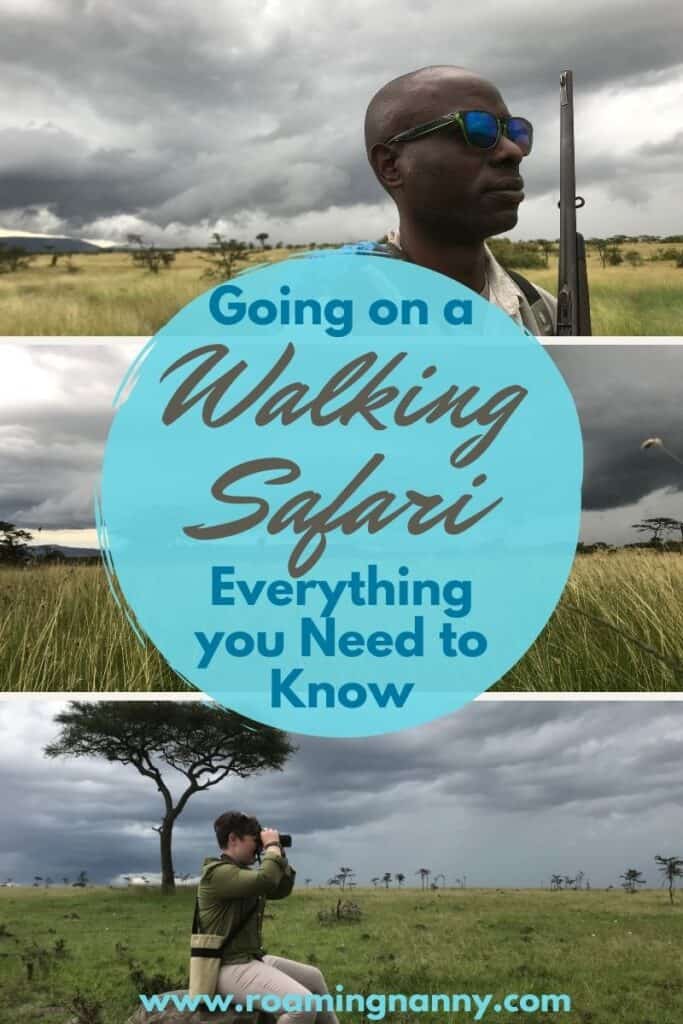 Get out of the truck and do a walking safari. Everything you need to know when it comes to safety, what to bring, and what to expect.