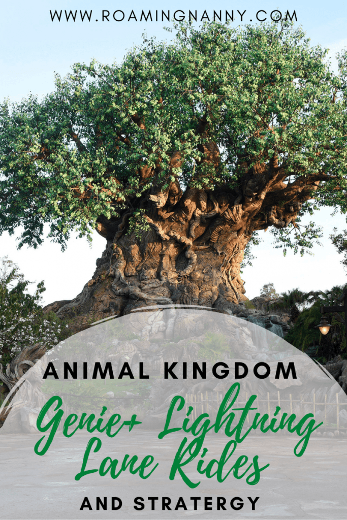 I've put together the ultimate strategy for the Animal Kingdom's Genie+ Lightning Lane rides to help you make the most of your Disney day!