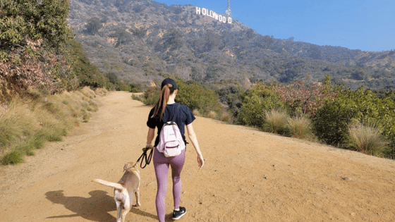 Hollwood sign hike - easy hiking trails in Los Angeles