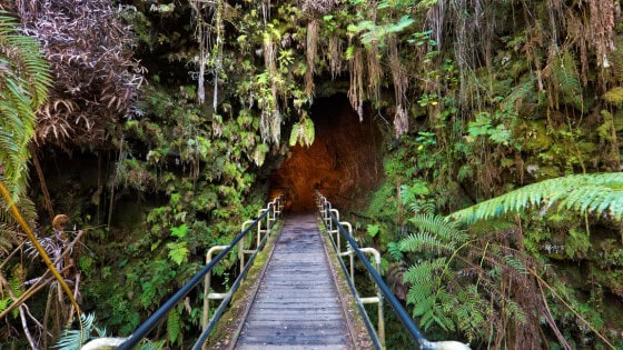 Lave Tube - Things to do in Hawaii Volcanoes National Park
